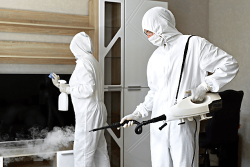 6 Tips For Choosing a Disinfecting Company in Singapore