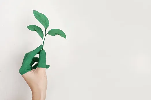 The Next Wave of Green Cleaning