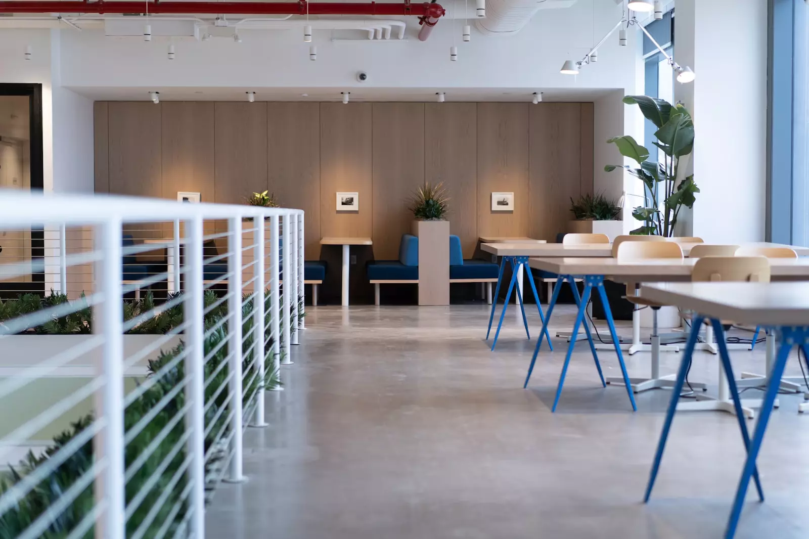 Guide to Office Cleaning - Boost Productivity and Employee Morale