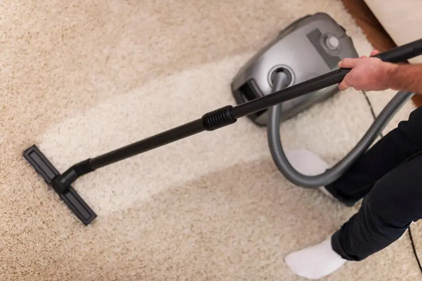 Singapore’s Leading Carpet Cleaning Services- Our Process and Expertise