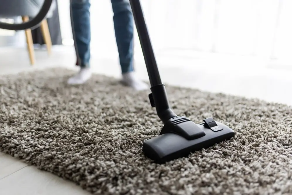 How Office Carpet Cleaning Services Improve Workplace Hygiene