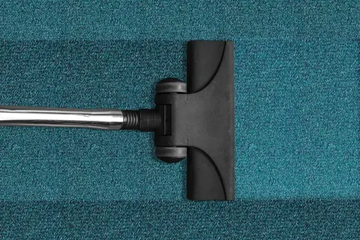 Top Benefits of Hiring Professional Carpet Cleaning Companies for a Cleaner Environment