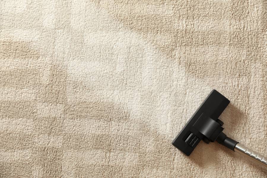 Is Your Work Office Carpet Hiding Germs And Allergens?