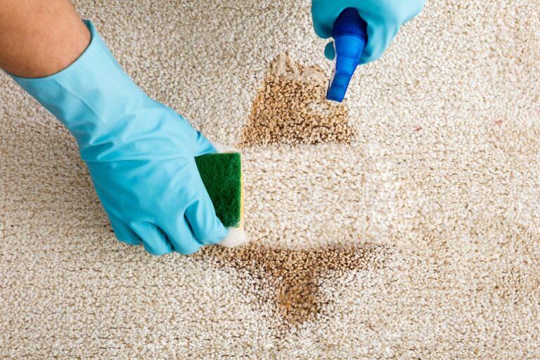 The Most Common Office Carpet Stains And How To Treat Them